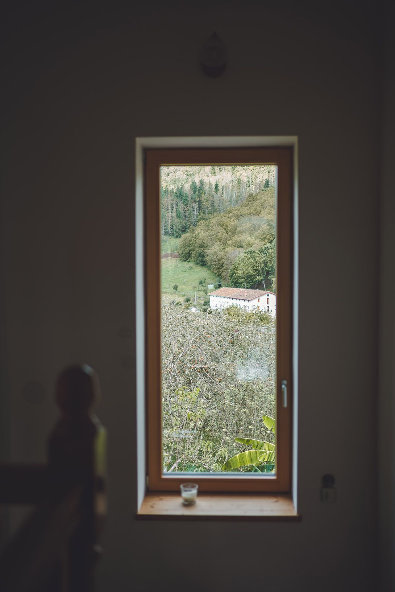 Vivienda Passivhaus Zaldibia Gipuzkoa